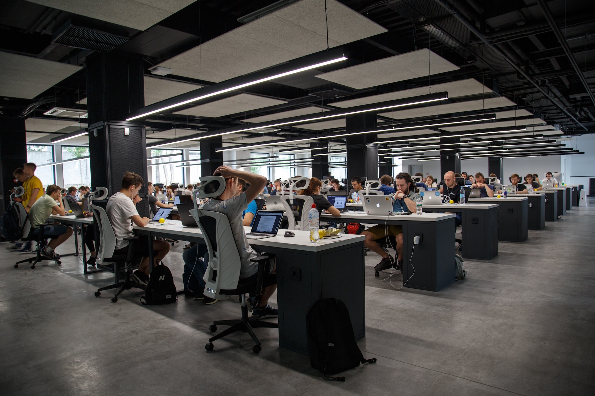 Employment in the US as of 2023 — Statistics & Facts
